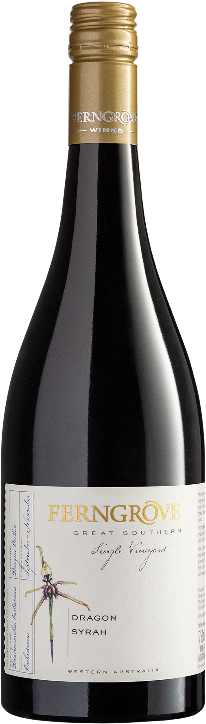 Ferngrove Dragon 2021